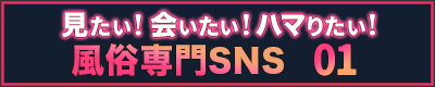 風俗専門SNS
